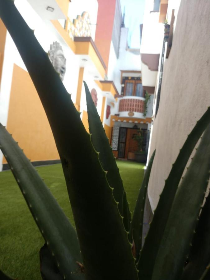 Вілла Casa Mexicana Patio Мехіко Екстер'єр фото